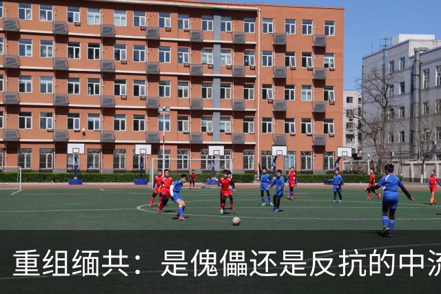 重组缅共：是傀儡还是反抗的中流砥柱？